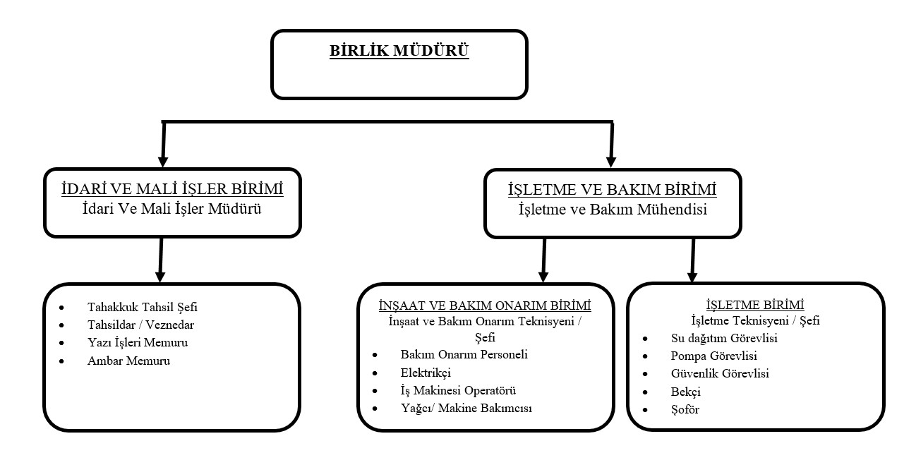 Organizasyon Şeması